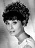 audrey_hepburn_240.jpg