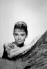 audrey_hepburn_252.jpg