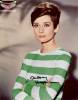 audrey_hepburn_290.jpg